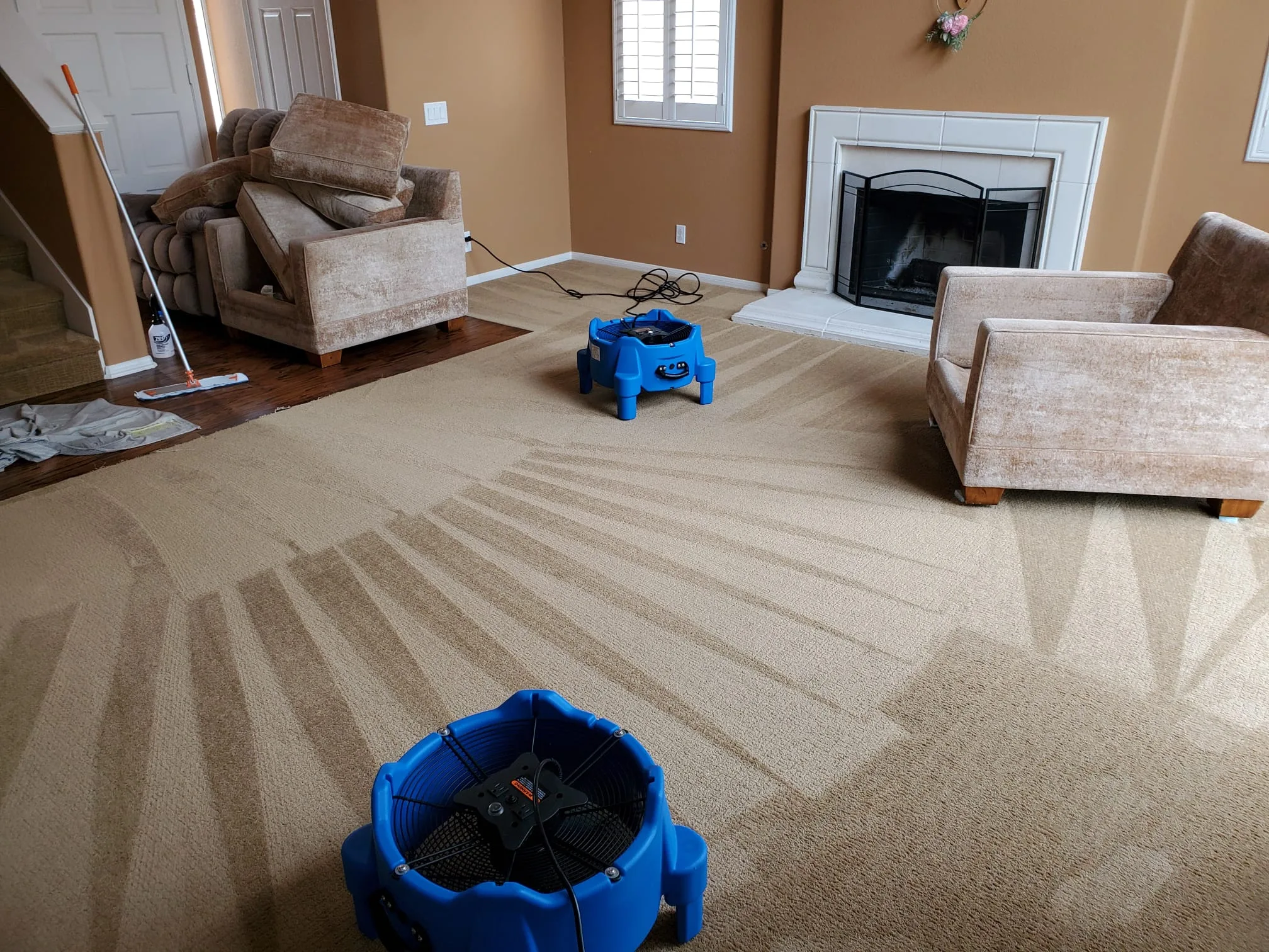 Carpet Cleaning img (1) Carpet Cleaning img (1)